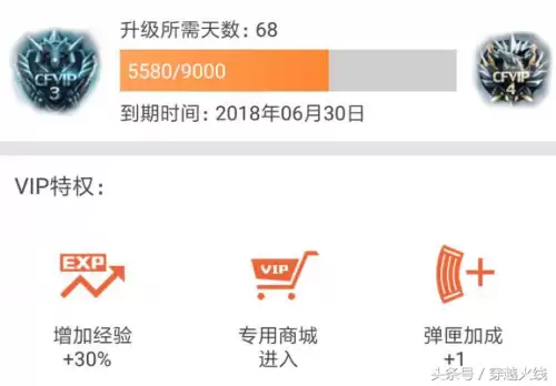 cf会员掉了怎么解决　CF在哪看自己是不是VIP-第2张
