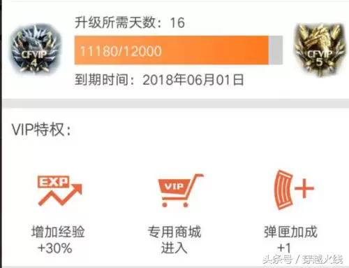 cf会员掉了怎么解决　CF在哪看自己是不是VIP-第3张
