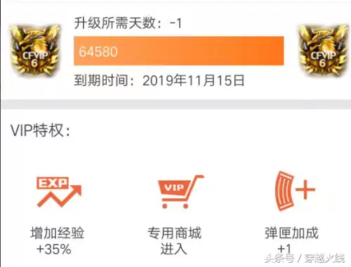 cf会员掉了怎么解决　CF在哪看自己是不是VIP-第4张