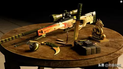 csgo所有皮肤一共多少钱　CSGO最贵的皮肤多少钱-第2张