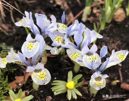 明日之后武器发热怎么办　明日之后怎样让枪口不发热-第1张
