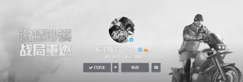 和平精英停服2020　和平精英停服原因-第5张