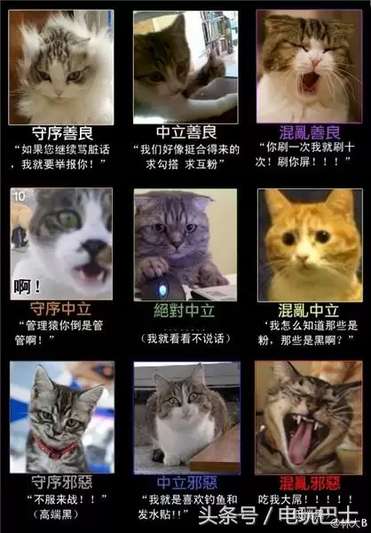 地下城是什么语言开发的　地下城与勇士简称叫什么-第9张