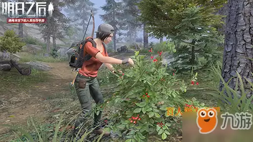 为什么明日之后有的服务器找不到　明日之后找不到服务器怎么办-第1张