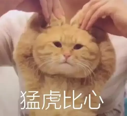 三国杀十周年怎么开房间　三国杀十周年入口-第4张