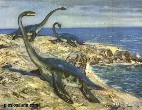 圣斗士星矢海皇篇在线　圣斗士星矢北欧海皇篇-第25张