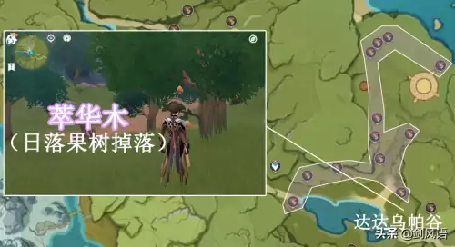 原神姥姥壶在哪　原神萍姥姥的壶-第12张