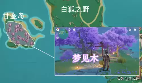 原神姥姥壶在哪　原神萍姥姥的壶-第17张
