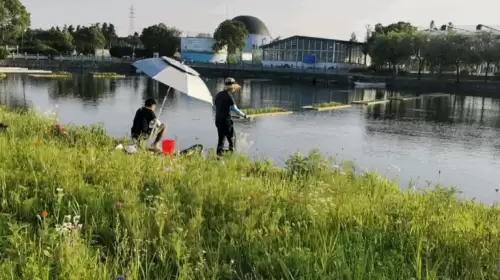 摩尔庄园兔子在哪养　摩尔庄园奶牛怎么获得-第8张