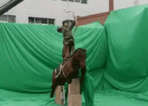 射雕英雄传李亚鹏版免费观看星辰　射雕英雄传李亚鹏版关键词-第16张