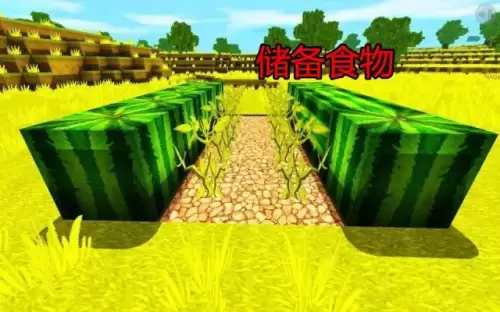 迷你世界不让进怎么办　迷你世界上不去了怎么办-第6张