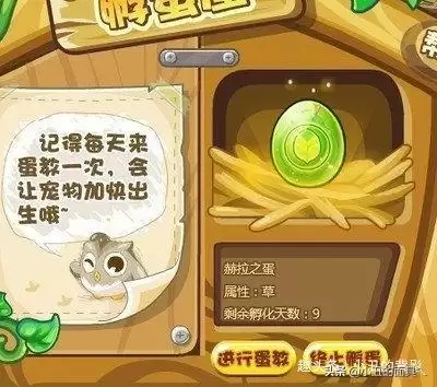洛克王国赫拉怎么获得2019　洛克王国赫拉怎么不见了-第4张