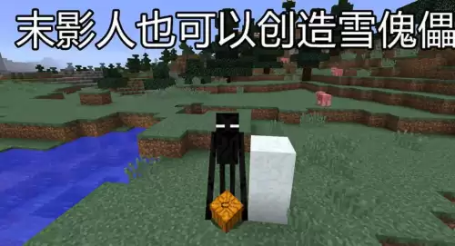 我的世界雪傀儡有什么用　雪傀儡防御炮-第1张