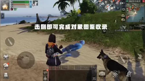 明日之后收藏图鉴在哪里查看　明日之后图鉴功能-第6张