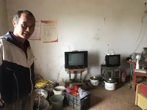 斗战神混沌之祸任务狗还是猫　斗战神混沌要求多少攻击-第2张