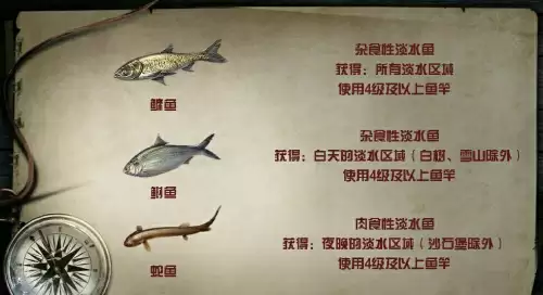 明日之后鲥鱼用什么鱼饵钓　明日之后好竿配好鱼·一-第5张