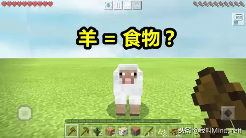 我的世界怎么传送村庄　我的世界village语法错误-第4张