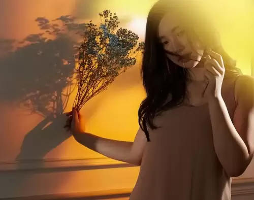 最终幻想12国际版职业选择　最终幻想12六个人都要练吗-第1张